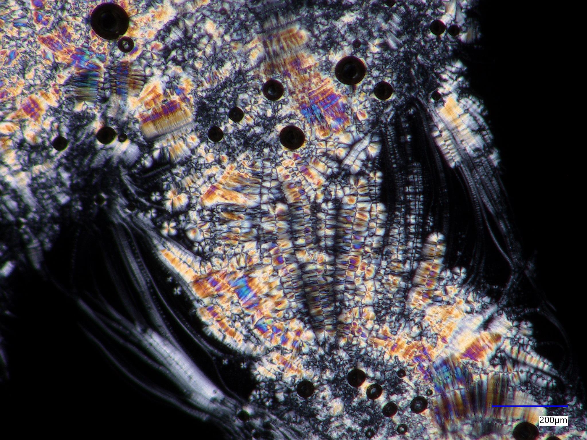 Polarized light micrograph of a textured aminomethylpropanol oleic acid water gel showing birefringent organized domains