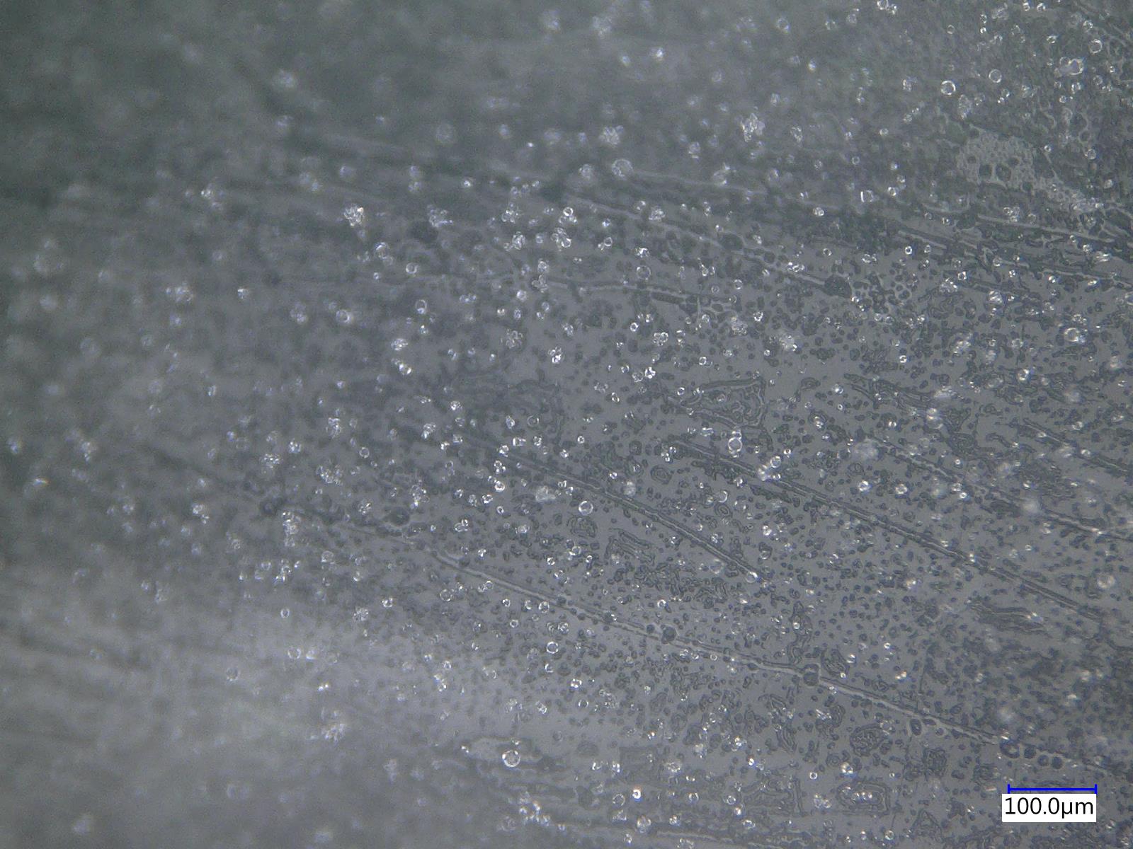 Optical micrograph of a frozen dilute sulfolane–water mixture showing ice-associated heterogeneous regions and a 100 micrometre scale bar